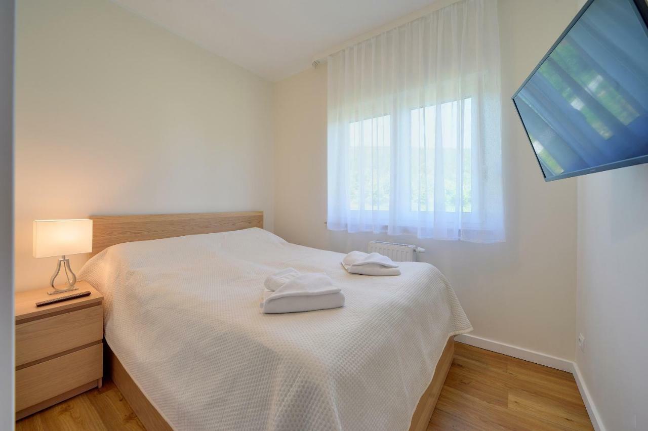Appartement Blizej Gor à Świeradów-Zdrój Extérieur photo